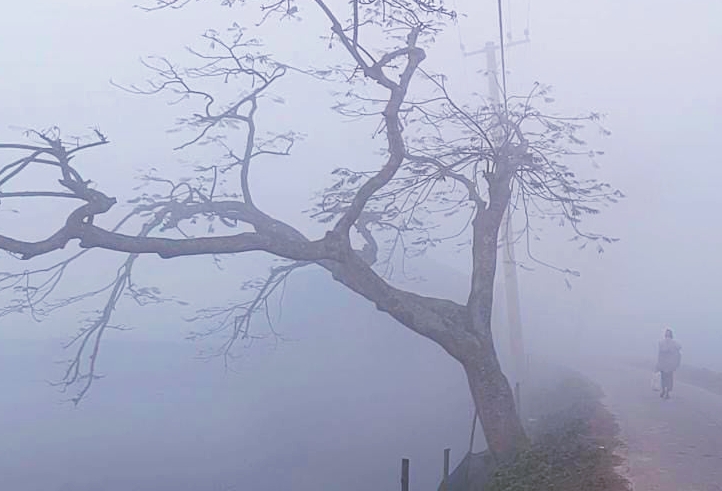 বড়ছে তাপমাত্রা, শীতের অনুভূতি থাকবে ঘন কুয়াশার কারণে