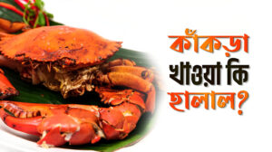 প্রশ্ন: কাঁকড়া খাওয়ার হুকুম কী?