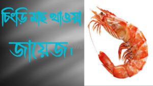 চিংড়ি মাছ খাওয়া নিয়ে শরিয়তের দৃষ্টিভঙ্গি—শায়েখ মুফতি হাফিজুদ্দীন